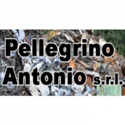 Pellegrino Antonio logo