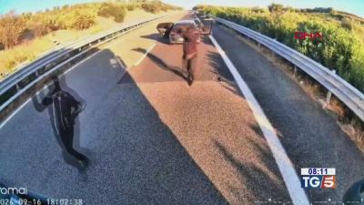 E c'è chi ruba anche il cacao