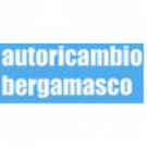 Autoricambio Bergamasco