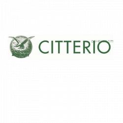 Domenico Citterio & C. logo