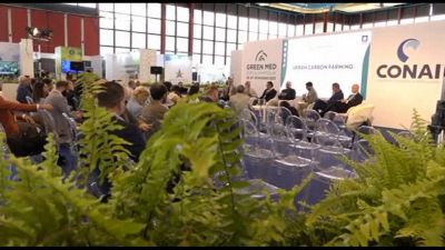 Urban Carbon Farming: il CiC per la sostenibilità del verde urbano