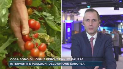 Cosa sono gli Ogm e perchè fanno paura?
