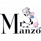 Mr Manzo Griglieria