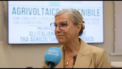 Rinnovabili, Colombera (Legance): lavorare per i progetti