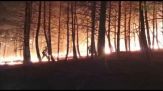 Spagna, incendio da 3.400 ettari divora boschi a nord-est di Madrid