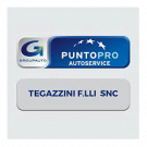 Autofficina F.lli Tegazzini Snc di Alessandro & Nicola Officina Puntopro
