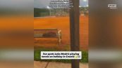 Modric fenomeno anche a tennis, ma che colpo è?