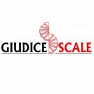 Giudice Scale