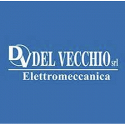 Del Vecchio Elettromeccanica logo
