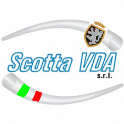 Scotta Vda logo