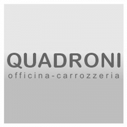 Quadroni Vincenzo logo