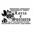 Industria Boschiva Movimento Terra Loria & Succurro