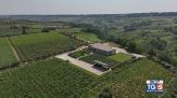Gusto di Vino - Vitigni d'Abruzzo