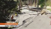 Abitazioni crollate, strade inghiottite, famiglie evacuate