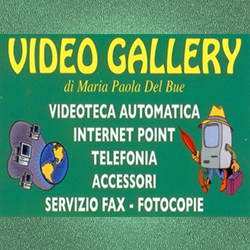 Video Gallery logo