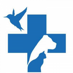 Croce Azzurra Viterbo logo