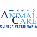 Animal Care Clinica Veterinaria