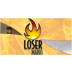Loser Mario Manutenzione Camini logo