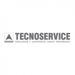 Tecnoservice logo