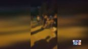 Aggredito dal branco in dieci contro uno