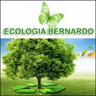 Ecologia Bernardo