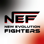 New Evolution Fighters 2.0