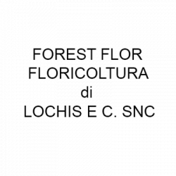 Forest Flor Floricoltura logo