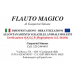 Flauto Magico
