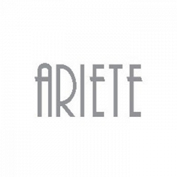 Ariete Temporary Shop logo