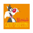 Asilo Nido Gatto Silvestro Associazione Pianeta Bimbo