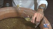 Gusto di Vino: Calavento
