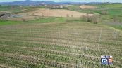 Gusto di Vino: il Sirah
