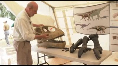 Francia, lo scheletro di un dinosauro gigante apre a nuove scoperte