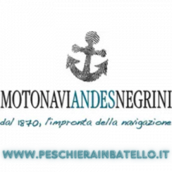 Motonavi Andes Negrini Peschiera Del Garda logo