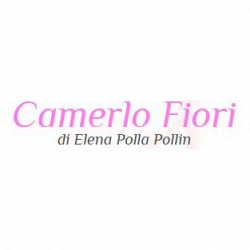 Camerlo Fiori logo
