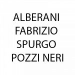 Alberani Fabrizio Spurgo Pozzi Neri