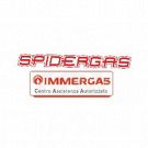 Spidergas Assistenza Immergas