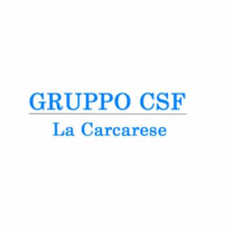 Onoranze Funebri La Carcarese - Gruppo Csf logo