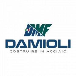 D.M.F. - DAMIOLI logo