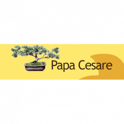 Papa Cesare Servizi di Giardinaggio logo