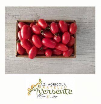 Pomodori - Azienda Agricola F.lli Aversente Corigliano Calabro - Calabria