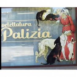 Palizia Toelettatura Cani e Gatti logo
