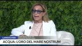 Frijia (FdI): in riforma porti governance investimenti organici