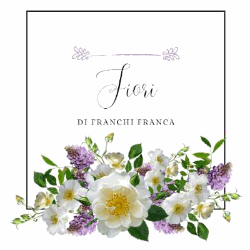 Fiori di Franchi Franca logo