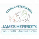Clinica Veterinaria James Herriot