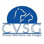 Clinica Veterinaria San Giorgio