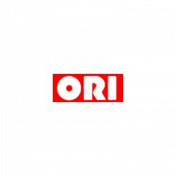 Ori di Altini Annamaria & C. Sas logo