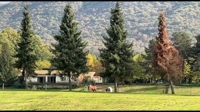 Fise, via a primo corso formazione per rifugiati in Italia