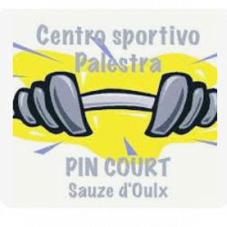 Centro Sportivo Palestra Pin Court logo