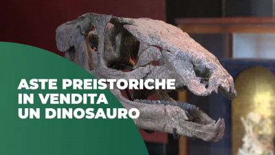 All'asta lo scheletro di un dinosauro